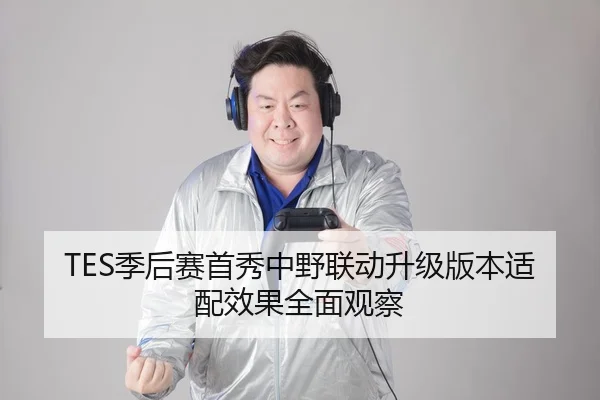 TES季后赛首秀中野联动升级版本适配效果全面观察